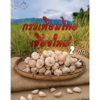 ราคา กระเทียมไทย พันธุ์เชียงใหม่ มัดจุก ตัดราก คละไซส์ เล็ก กลาง ขนาด 2 กก (57256158173)
