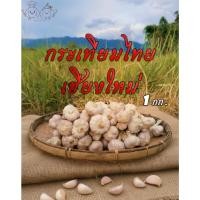 ราคา กระเทียมไทย พันธุ์เชียงใหม่ มัดจุก ตัดราก คละไซส์ เล็ก กลาง ขนาด 1 กก (46456186589)