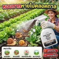 ราคา ฆ่าหอยทากอย่างรวดเร็ว MINI ยาฆ่าหอยทาก กำจัดหอยทาก ยาฆ่าแมลงศัตรูพืช 500ml นวัตกรรมล่าสุดจากเยอรมนี ปี 2026 ยาฆ่าเพลี้ย ยาฆ่าแมลงสาบ ยาฆ่าหนู ยาฆ่าปลวก คาเบนดาซิม ยาฆ่าแมลงศัตรูพืช ยาฆ่าเพลี้ย ยาฆ่าหน