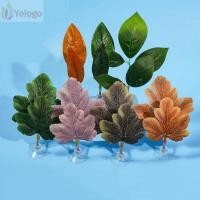 ราคา โยโลโก ปลาหาวไม้ประดับ พัก ซ่อน ถ้วยดูดวางไข่ ใบพักผ่อนปลากัด พลาสติกจําลองใบบัว ใบประดิษฐ์กบที่อยู่อาศัย (56209267874)