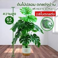 ราคา Bigmall ต้นไม้ตกแต่งบ้าน 18 ใบ ความสูง 65 ซม ต้นไม้มงคล ต้นไม้ประดิษฐ์ พร้อมกระถางและหิน (29054712762)