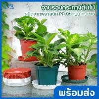 ราคา Bigmall จานรองกระถางต้นไม้ กระถางต้นไม้ ถาดรองกระถาง วัสดุ PP ยืดหยุ่น ทนทาน (10078707815)