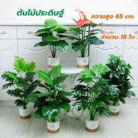 ราคา Bigmall ต้นไม้ตกแต่งบ้าน 18 ใบ ความสูง 65 ซม ต้นไม้มงคล ต้นไม้ประดิษฐ์ พร้อมกระถางและหิน ต้นไม้ (27251369211)