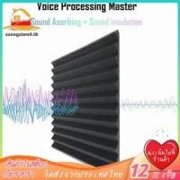 ราคา in stock 24 Pcs Acoustic Foam Board Studio Wedge Tile Acoustic Foam Soundproof Pyramid Studio Treatment Wall Panel 2 5X30X30cm (19020520608)