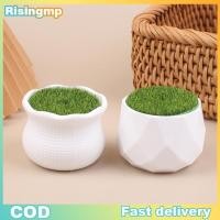 ราคา risingmp 5 ชิ้นกระถางดอกไม้รอบชาวไร่พร้อมแจกันสนามหญ้าเทียมพลาสติกสีขาว Thi พืชกระถางดอกไม้ตกแต่งสวนบ้าน (49806518558)
