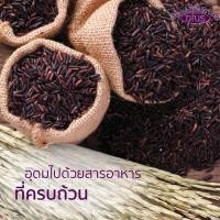 ราคา ข้าวกล้องไรซ์เบอรี่ 100 ข้าวไรซ์เบอร์รี่ มาบุญครองพลัส ขนาด 1 กิโลกรัม ข้าวสาร ข้าวเพื่อสุขภาพ ข้าว ข้าวเหนียวดำ (26255692673)