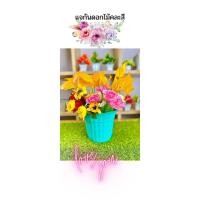 ราคา กระถาง กระถางต้นไม้พลาสติก กระถางตกแต่งสวนภายในบ้าน ของตกแต่งบ้าน กระถางปลูกต้นไม้ (25313042036)