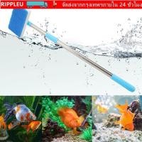 ราคา RIPPL แปรงทําความสะอาดฟองน้ําถัง สาหร่ายหน้าต่างเครื่องทําความสะอาดปลาตู้ปลาสองด้าน เครื่องมือทําความสะอาดผนังด้านใน 180 แปรงทําความสะอาดตู้ปลาด้ามยาวพิเศษแบบปรับได้ (55759144224)