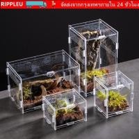 ราคา RIPPL สัตว์เลื้อยคลาน Habitat กล่องเพาะพันธุ์จิ้งจกอะคริลิคป้องกันการหลบหนี ทนทานหลายขนาด Arboreal กรงสัตว์เลี้ยงขนาดเล็กสําหรับแมงป่อง (26794359007)