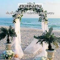 ราคา ซุ้มประตู ซุ้มดอกไม้ ซุ้มกุหลาบเลื้อย ประตูสวน ซุ้มกุหลาบ ซุ้มประตูงานแต่งงาน ซุ้มเหล็กโค้ง ซุ้มประตูสี่เหลี่ยม ของตกแต่ (57355150844)