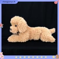 ราคา Plu ตุ๊กตาสุนัขพุดเดิ้ลของเล่นสําหรับเด็ก (57959209331)