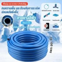ราคา สายยางสีฟ้า ขนาด 1 2 นิ้ว 4หุน สายยางฟ้าเด้ง ความยาว 10 50 เมตร สายยางรดน้ำต้นไม้ เด้ง อย่างดี 3ปีไม่แข็งกรอบ (40529390510)