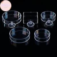 ราคา Solitudered Aquarium Feeder อะคริลิคโปร่งใสปลารอบสแควร์จานกุ้งกล่องอาหารปลาและกุ้งอุปกรณ์ให้อาหาร TH (51009041565)