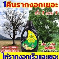 ราคา น้ำยาเร่งราก B1เร่งรากเห็นผลไว เพิ่มพื้นที่ผิวราก ลดการใช้ปุ๋ย รากดูดซึมสารอาหารได้ดี พืชโตไว แข็งแรง 500g ปุ๋ยเร่งราก (56900354623)