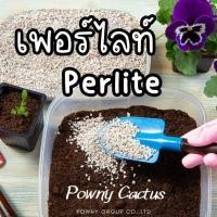 ราคา Perlite เพอร์ไลท์ บรรจุ 1 ลิตร วัสดุปลูก ช่วยเพิ่มอากาศในดิน ระบายน้ำดี ล็อตใหม่ฝุ่นน้อย (27333063508)