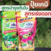 ราคา ปุ๋ยเคมี SRK บำรุงต้น 12 4 4 เร่งดอก 4 12 4 ใบเขียวดก เงางาม ต้นสมบูรณ์ เร่งดอก เร่งผล (42602764068)
