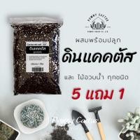 ราคา ดินปลูกแคคตัส ดินพร้อมปลูก ดินปลูกกระบองเพชร ดินปลูกไม้อวบน้ำ ดินผสมสำเร็จ สูตรโปร่งพิเศษ รากเดินดี (42702754499)