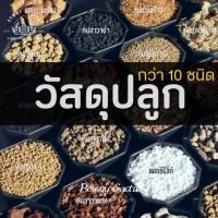 ราคา ส่งไวมาก วัสดุสำหรับปลูก ส่วนผสมดิน หินภูเขาไฟ เพอร์ไลท์ เวอร์มิคูไลท์ เปลือกสน กาบมะพร้าว พีทมอส (41102768615)