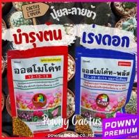 ราคา ปุ๋ยออสโมโค้ท ปุ๋ยละลายช้า 100 กรัม บำรุงต้น เร่งดอก ราคาถูก พร้อมส่งจ้า (40952768863)