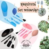 ราคา ชุดอุปกรณ์ปลูกต้นไม้ ชุดทำสวนจิ๋ว ชุดปลูกแคคตัส อุปกรณ์ทำสวนขนาดเล็ก ชุดปลูกกระบองเพชร CH (40802759042)