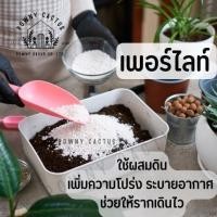 ราคา เพอร์ไลท์ 4 8มม ส่งเร็วมาก แบ่งขาย ราคาถูก Perlite 4 8mm dust less (26283068550)
