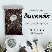 ราคา ดินปลูกแคคตัส ถุง 1 กิโลกรัม ดินผสมพร้อมใช้ ไม้อวบน้ำ ดินผสมพร้อมปลูกได้ทันที (20353310572)