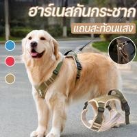 ราคา COD สายจูงสุนัข สายรัดสุนัข สะท้อนแสง วัสดุทนการแทะ สุนัขขนาดใหญ่ ลาบราดอร์ โกลเด้น (41003162170)