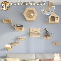 ราคา กล่องแมวติดผนังDIY คอนโดแมวติดผนัง คอนโดแมว ติดผนัง เสาลับเล็บ หลุมอวกาศ ติดตั้งง่าย (27909780591)