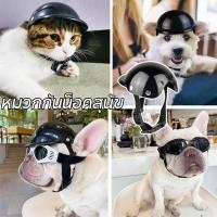 ราคา แมว หมา หมวกกันน็อคสุนัข หมวกกันน็อกสำหรับสัตว์เลี้ยง S M แว่นตาสุนัข แว่นตาสัตว์เลี้ยง เหมาะสําหรับสัตว์เลี้ยงสุนัข (26907060037)