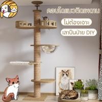 ราคา คอนโดแมวติดเพดาน เสาปีนป่าย DIY สลับชั้นได้ เสาลับเล็บแมว ยึดเพดาน ไม่ต้องเจาะ (26510178981)