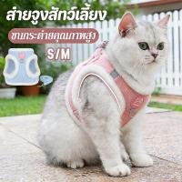 ราคา NEW สายจูงสัตว์เลี้ยง เสื้อจูงแมว เชือกจูงแมว สายจูงสุนัข สุนัข เชือกรัดอก ดีไซน์น่ารัก สายรัดอก (52804269183)