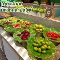 ราคา ใบบัวเทียม ใบบัวปลอม ใบบัวจำลอง ใบบัวปลอม วางบนโต๊ะแต่งร้านอาหาร รองจานกันลื่น พร๊อพถ่ายรูป ตกแต่งอ่างปลา (29516490147)