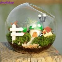 ราคา DNWLSHOP แจกันแก้ว Borosilicate แก้ว Borosilicate เฉียงแจกันลูกบอลแก้วใส กระถางดอกไม้ 8 10 12 16 ซม ใสพืช Terrarium Moss (50908973793)
