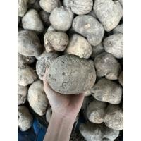 ราคา มันพร้าวสินค้าเกษตร 40 บาท เหนียวหอม ลูกละ 3 6 ขีด (26994096762)