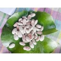 ราคา ของป่าหากินยากไข่จั๊กจั่น เพี้ยแป้ง ฟรี ใบตอง (54807795063)