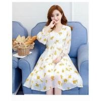 ราคา ชุดคลุมท้องนำเข้า (1327291041)