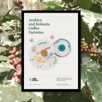 ราคา Poster สายพันธุ์กาแฟอราบิก้าและโรบัสต้า Arabica And Robusta Coffee Varieties ขนาด A3 พร้อมกรอบ รับพิมพ์ตามออเดอร์ (24702722781)