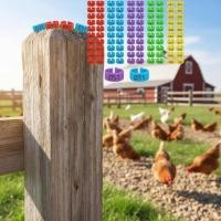 ราคา 100 ชิ้นยาวนาน Snap on ขาไก่แถบขาไก่สีสดใสสําหรับ Backyard (45507816414)