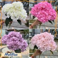 ราคา MELIFLUO ดอกไม้ไฮเดรนเยียประดิษฐ์ DIY ผ้าไหมดอกไม้ไฮเดรนเยียปลอม ขนาดใหญ่ 5 หัวดอกไม้ตกแต่งสําหรับงานแต่งงานหน้าแรก (54208625380)