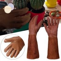 ราคา MOSSMEMA ถุงมือทําสวน ความปลอดภัยหลอดยาวสวน Mitts เครื่องมือกาแฟปลูกแขนป้องกันถุงมือตัดแต่งกิ่งสวน (57609312661)