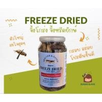 ราคา จิ้งโกร่งยักษ์ ฟรีซดราย Freeze Dried Cricket พร้อมใช้งาน สำหรับสัตว์กินแมลง ชูก้า กระรอก เม่นแคระลิงมาโมเสท (27685275571)
