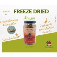 ราคา Grasshopper ตั๊กแตนมากไปด้วยโปรตีน ผลิตภัณฑ์ ฟรีสดราย ชูก้าไกลเดอร์ เม่นแคระ กระรอก ลิง มาโมเสท (21114612128)