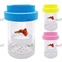 ราคา TECF กล่องแยกพันธุ์ปลาลอย กุ้ง Guppy โปร่งใสลอย Hatching กล่อง พลาสติกที่ถอดออกได้ตาข่าย Aquarium Breeder ปลา Hatchery Incubator Breeder กล่องถังปลา (49908980303)