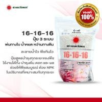 ราคา ปุ๋ย 16 16 16 ปุ๋ยเคมี เกรดละลายน้ำ 1 กิโลกรัม บำรุงได้ทุกส่วน ทั้งทางดินและฉีดพ่นทางใบ (9553751126)