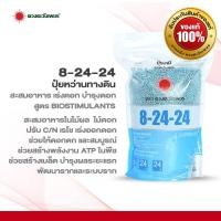 ราคา ปุ๋ยเคมี สูตร 8 24 24 ขนาด 1 กิโลกรัม ปุ๋ยบำรุงดอกไม้ เร่งดอก ดอกใหญ่ เร่งออกดอก มีสารเร่งดูดซึม (8470931674)