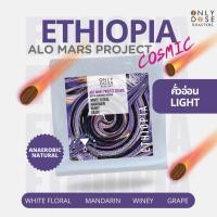 ราคา เมล็ดกาแฟเอธิโอเปีย ETHIOPIA ALO MARS PROJECT COSMIC SCORE 90 SPECIALTY COFFEE คั่วอ่อน Light ขนาด 100 กรัม (45254128509)