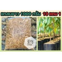 ราคา แกลบขาว 1000 กรัม แกลบคุณภาพผสมดินเพาะกล้า ปุ๋ย ดิน ธรรมชาติ บำรุงดิน โรยต้นไม้ ทราย วิตามินพืช ต้นไม่แข็งแรง ปลูกง่าย (25721054913)