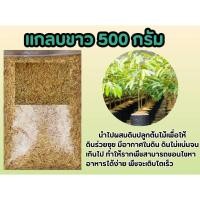 ราคา แกลบขาว 500 g แกลบอินทรีย์ ปลอดสารเคมี ต้นไม้ ผัก ผักสลัด สวนครัว ปุ๋ย ดิน ต้นกล้า เพาะพันธุ์ หิน วัสดุปลูก ธรรมชาติ (25671060029)