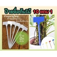 ราคา ป้ายชื่อต้นไม้ รูปตัว T ขนาดใหญ่พิเศษ ป้ายปักต้นไม้ ต้นไม้ ฟอกอากาศ สวน จัดสวน บ้าน ไม้มงคล ดิน ปุ๋ย กระถาง (24171060759)