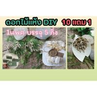 ราคา ดอกไม้แห้ง ใบไม้แห้ง งานDIY ของชำร่วย งานประดิษฐ์ งานคราฟท์ crafthandmade scrapbook ตกแต่ง ของขวัญ กล่องของขวัญแต่งบ้าน (24026466353)
